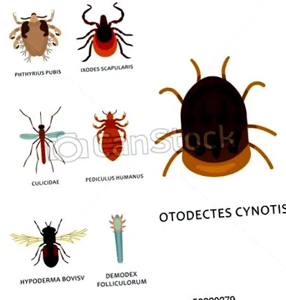 nostru paraziți