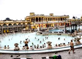 бирена пяна beerspa
