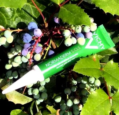 lipstick alte