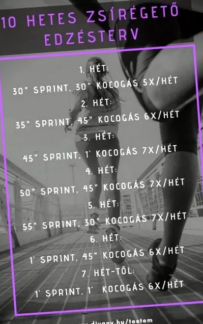 slimfit таблетки
