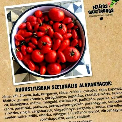 sezon sezon