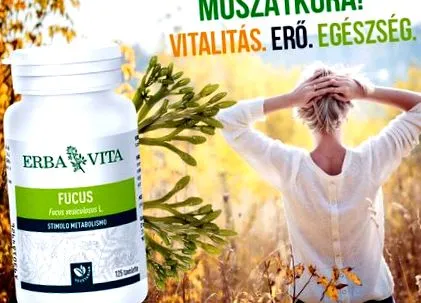 отслабване Gymnema Sylvestre