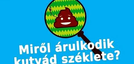 вашої стілець