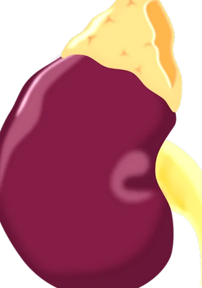 ziua ziua