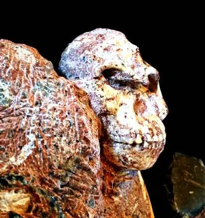 краче Little Foot