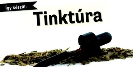 bază tincturi