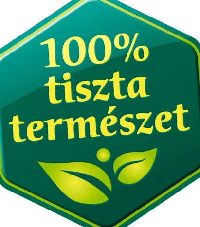 rădăcină țelină
