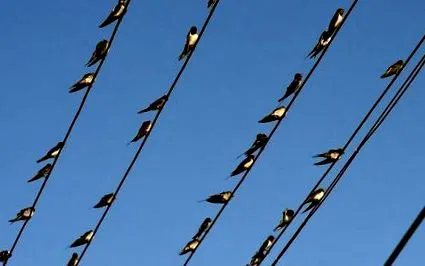 въпреки въпреки