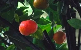 ceva puțin
