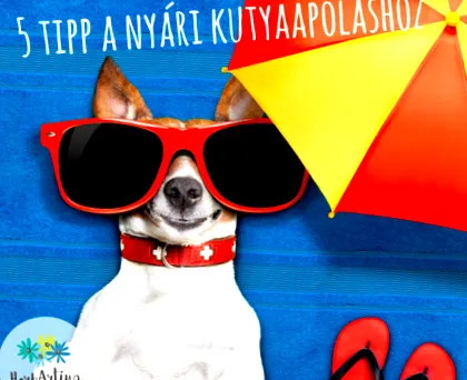 съвета поддържане