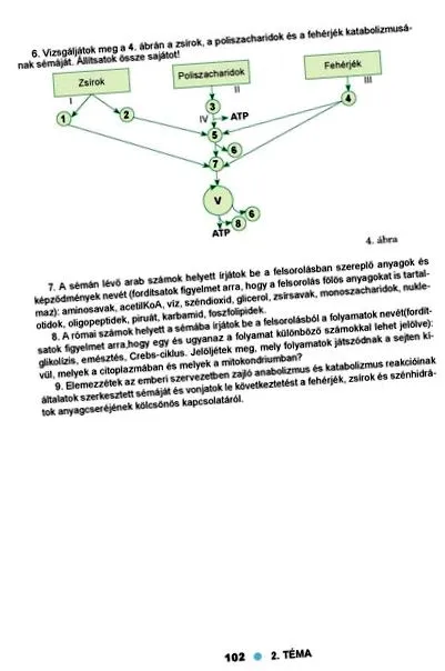 които важни