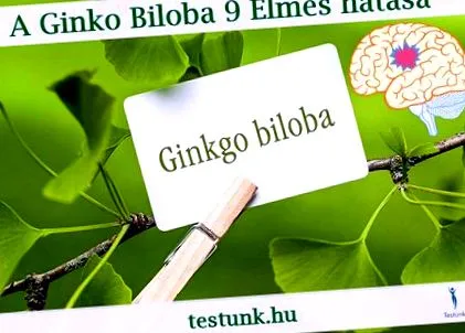 biloba ginko