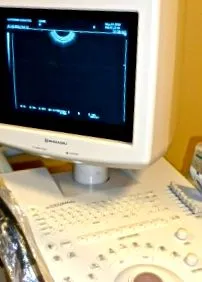pancreas pancreas