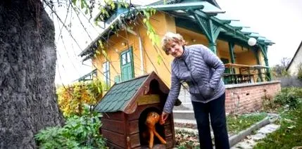 царството пазят