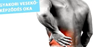 бъбреците бъбреците