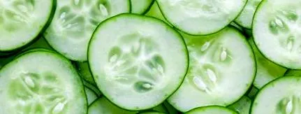 шукач шукач