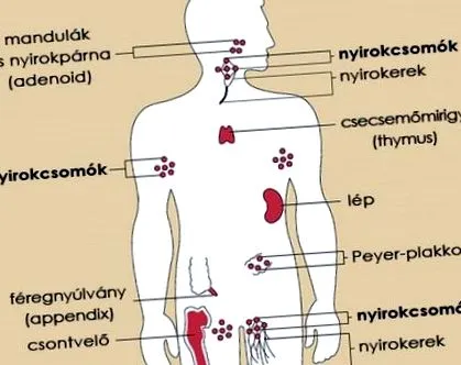 причини лімфатичних