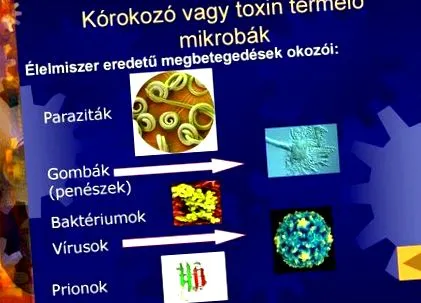microorganisme