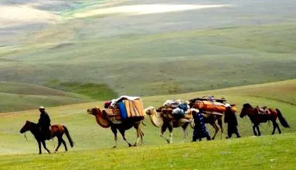 хванат камилите