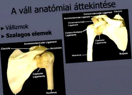 genunchiului genunchiului