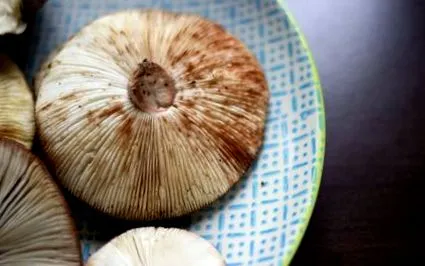 вкусен божествено