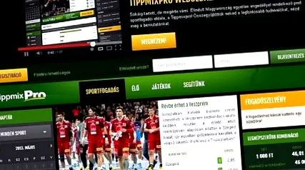 tipplap тути
