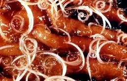 intestine paraziți