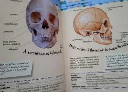 лекарства лечение