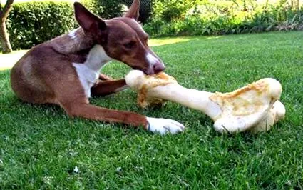 boli boli