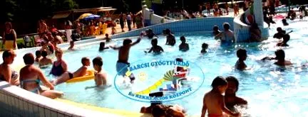 баркс amet consectetur