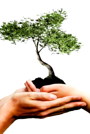 дошли добре