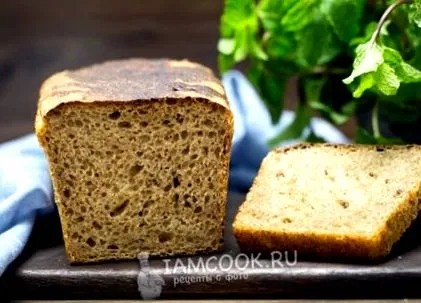 бородински закваска