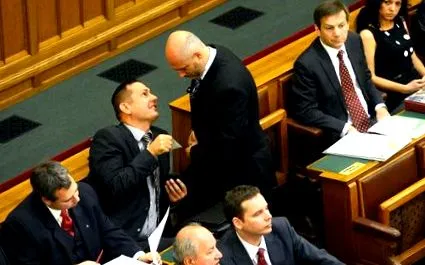 домашній домашній