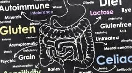 candida candida