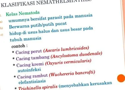 kelas kelas nemathelminthes