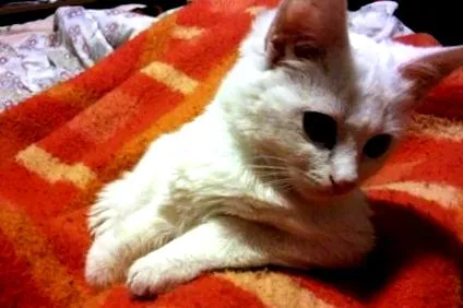 много много много много години