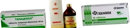 лямблиоза лямблиоза