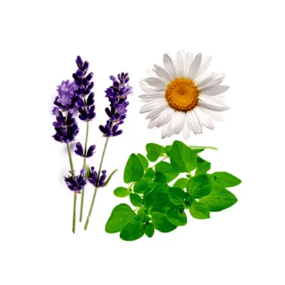doterra съществено значение