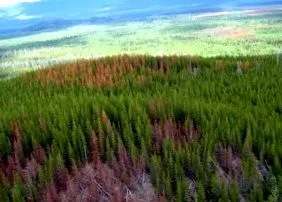 горски горски
