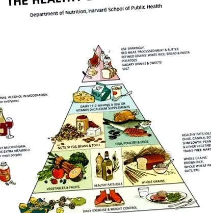 Dieting Femina