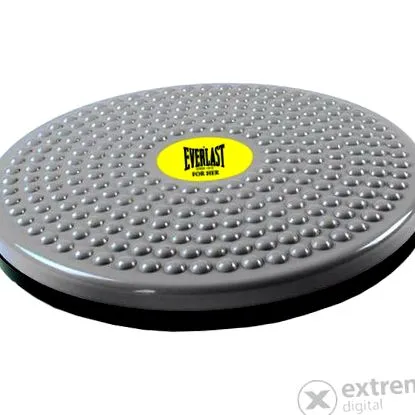 everlast board