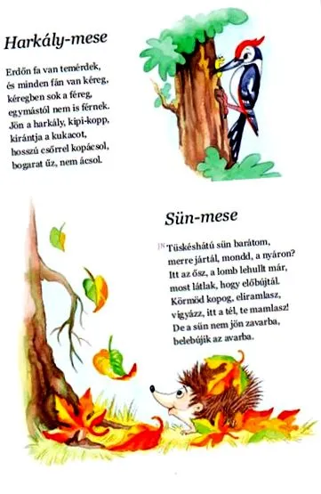 какво пиете