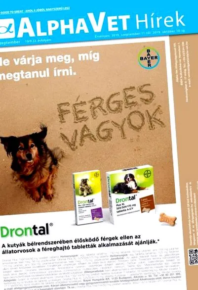Профілактика глистів профілактика