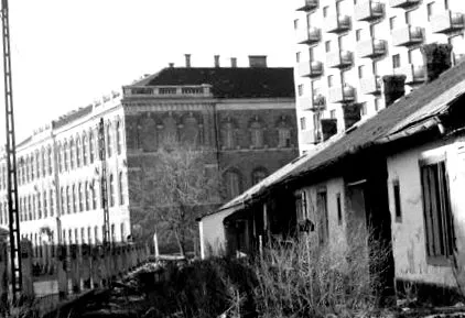 scurtă scurtă