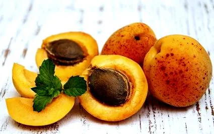 прасковени костилки