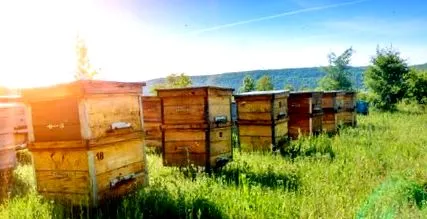 производителите производителите