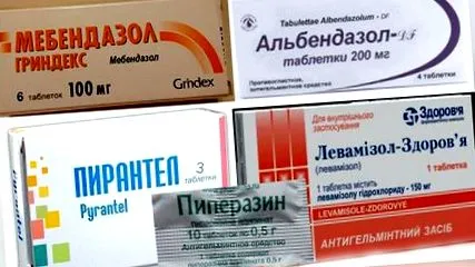 червеите могат