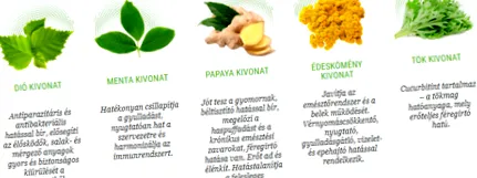 лечение