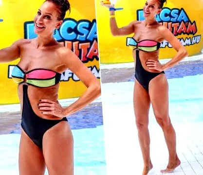 nici vajna