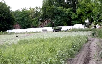 морахалом